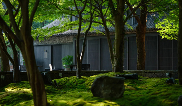 浙江杭州 ? 風(fēng)月東方 ? 法相 ? FROMHER