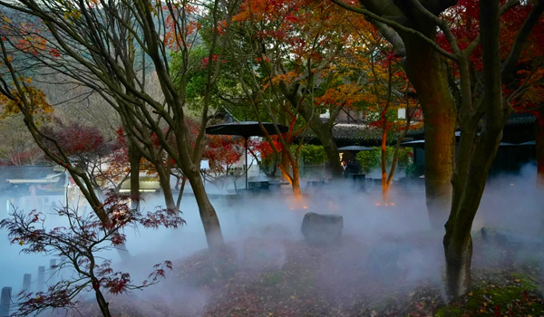 浙江杭州 ? 風(fēng)月東方 ? 法相 ? FROMHER