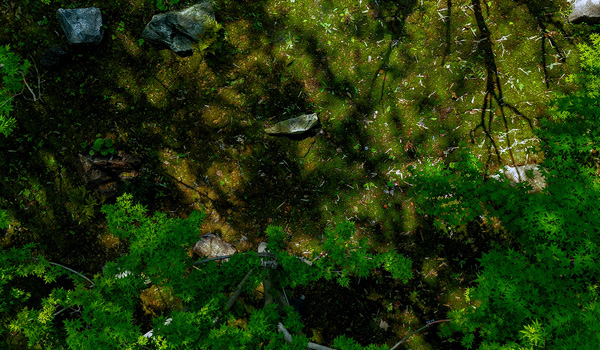 浙江杭州 ? 風(fēng)月東方 ? 法相 ? FROMHER