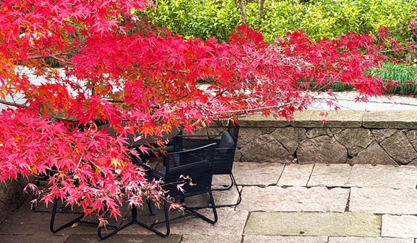 浙江杭州 ? 風(fēng)月東方 ? 法相 ? FROMHER