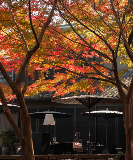 浙江杭州 ? 風月東方 ? 法相 ? FROMHER